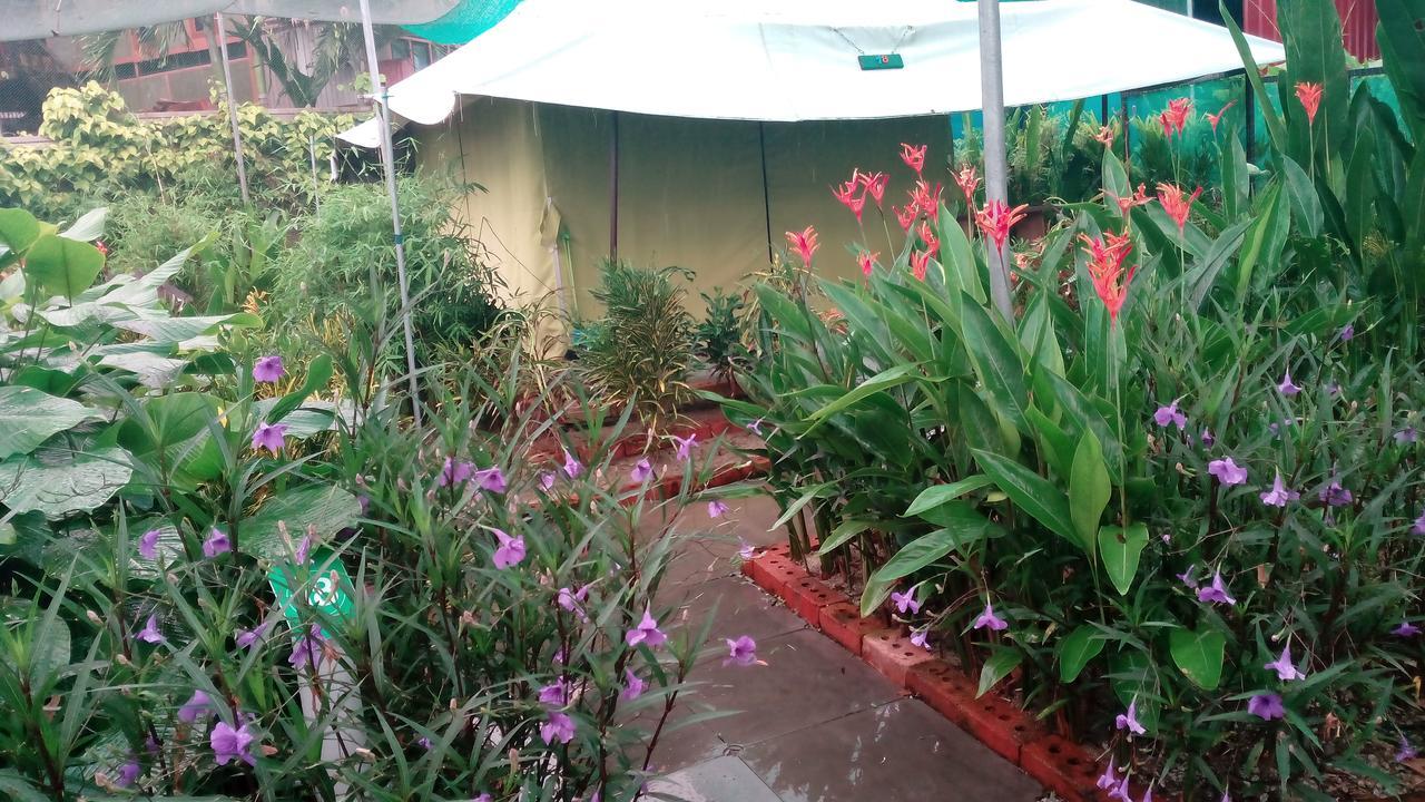T Garden Villa Pantai Cenang  Exterior photo