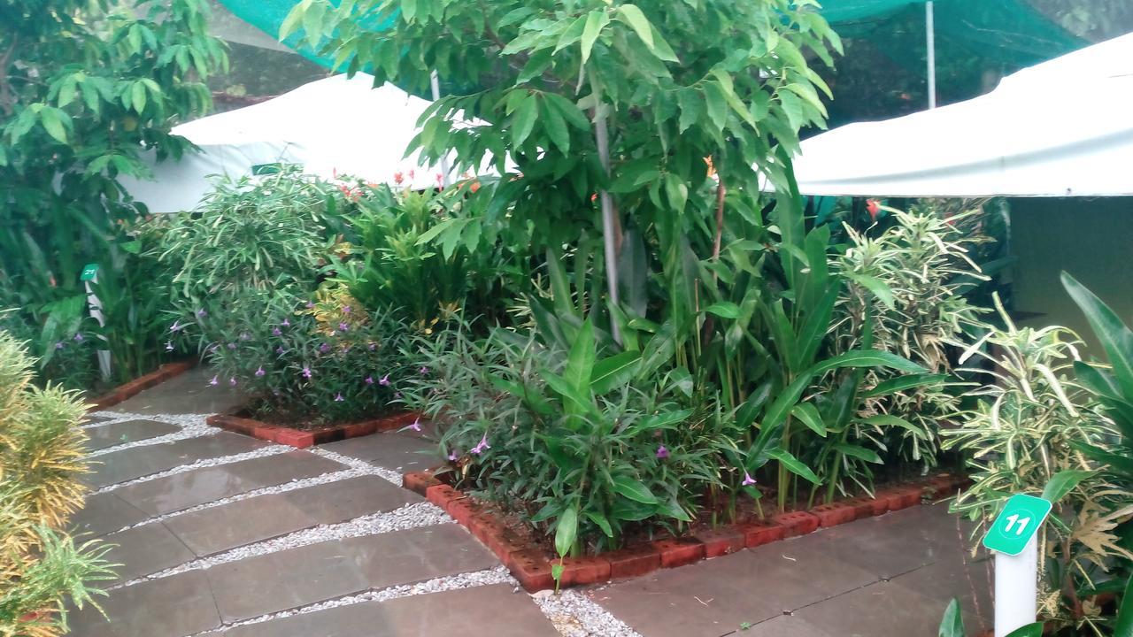 T Garden Villa Pantai Cenang  Exterior photo